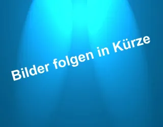 NEUE abnehmbare Anhängerkupplung Westfalia inkl. ANBAU für Ford Focus  ab 2018 - Bild 1
