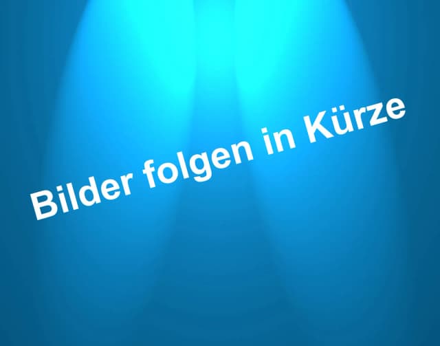 Article WWK